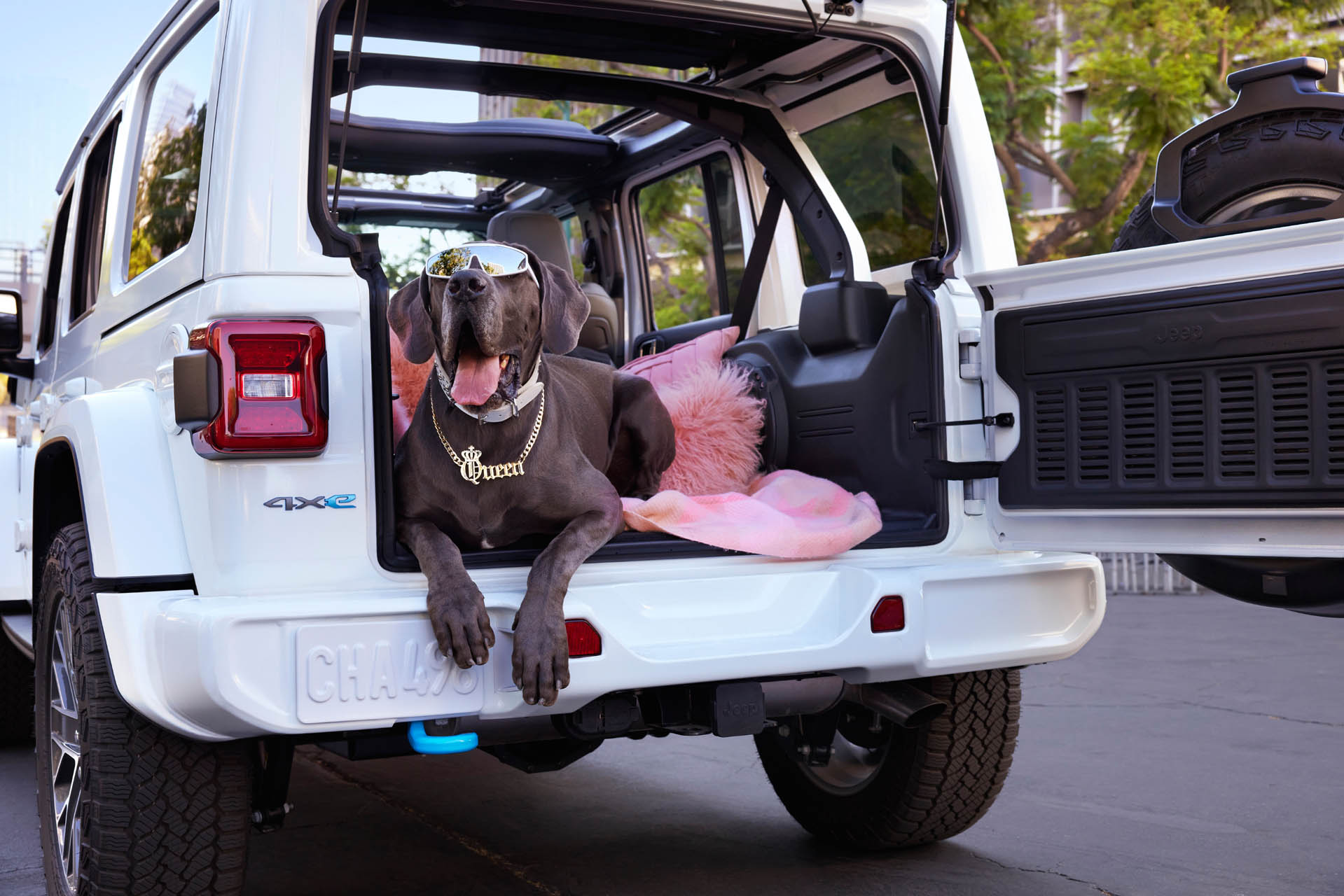 jeepwrangler-famousforfreedom 01