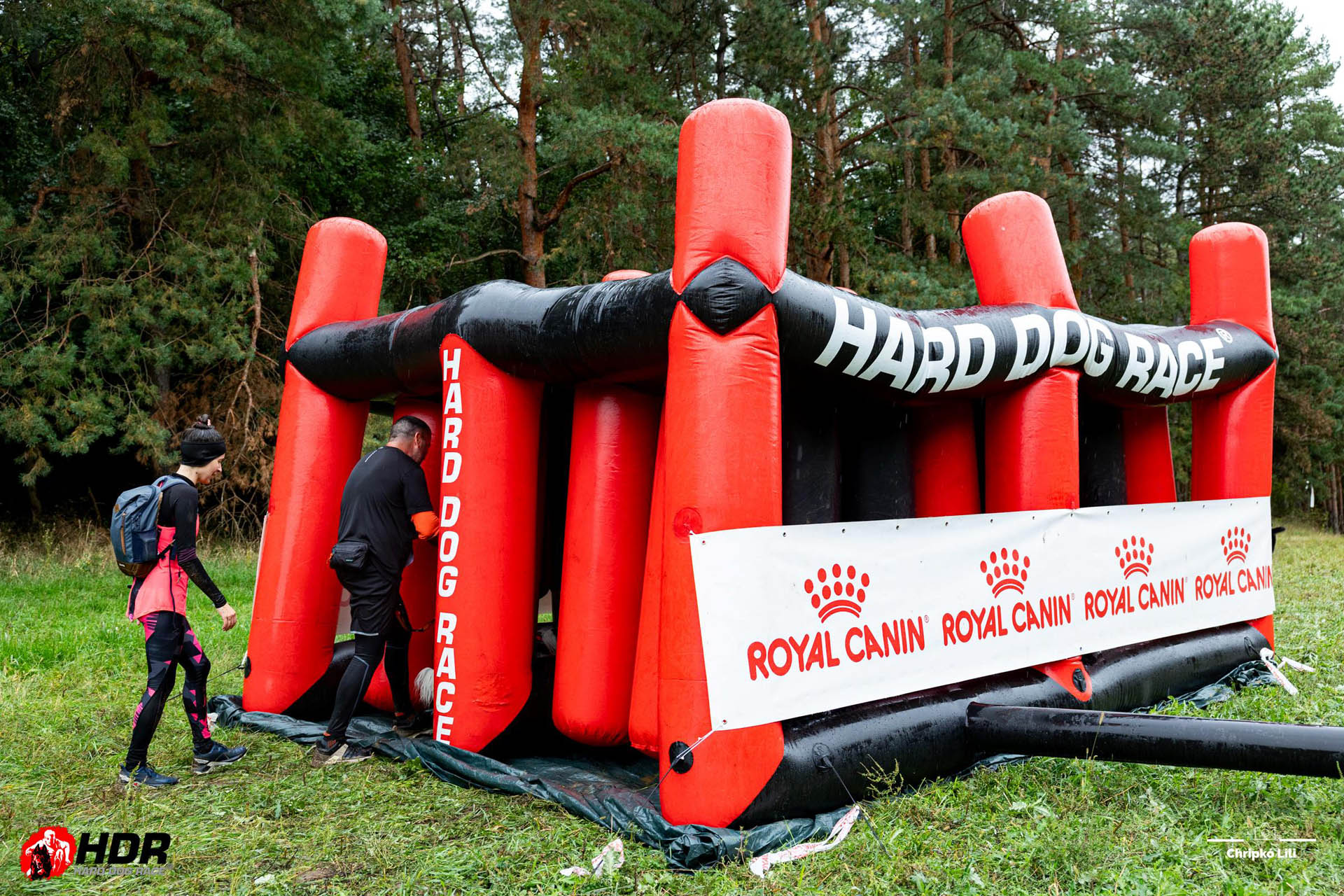 HDR Dzsungel RC