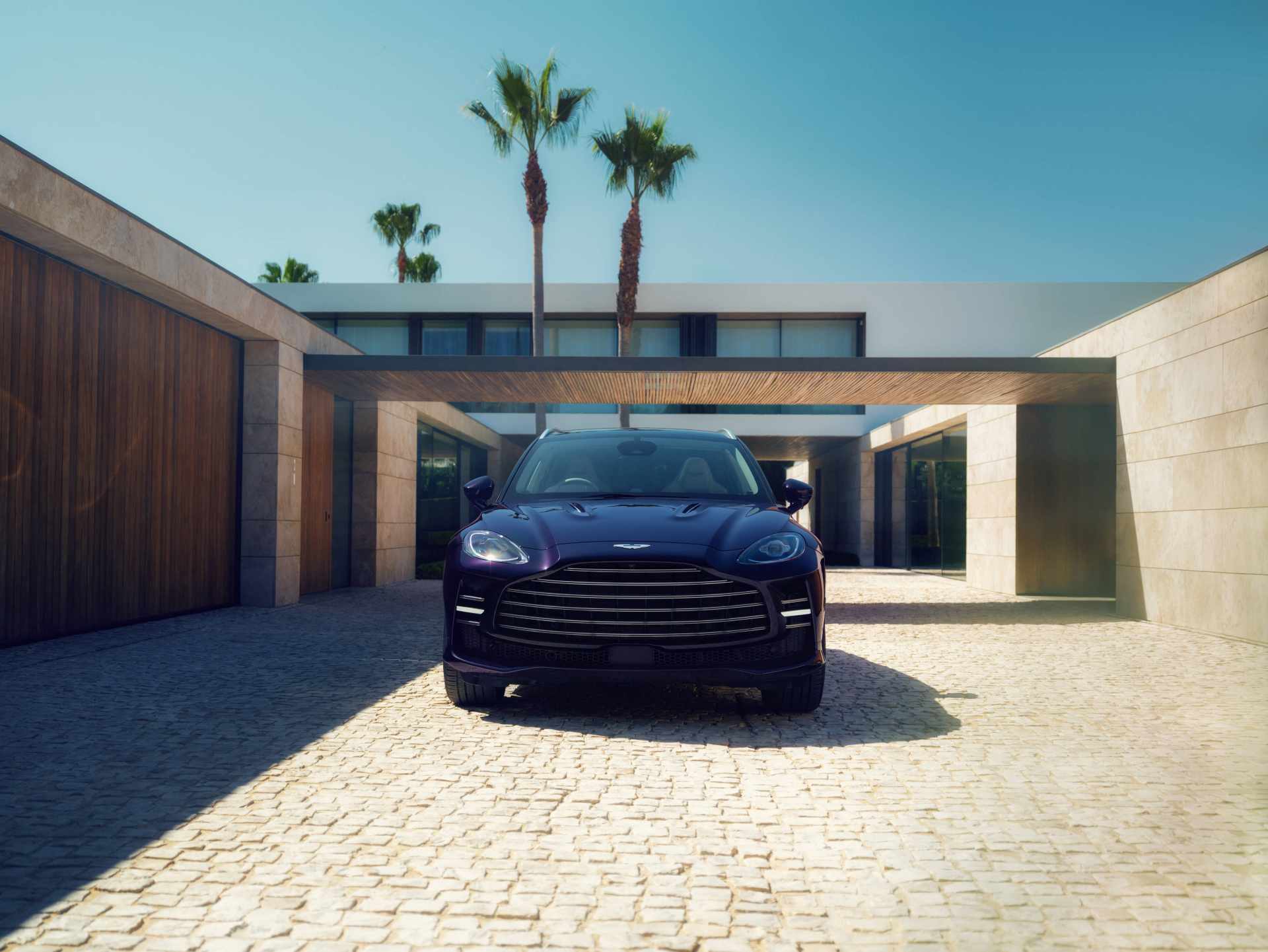 Aston-Martin-DBX-GT 2