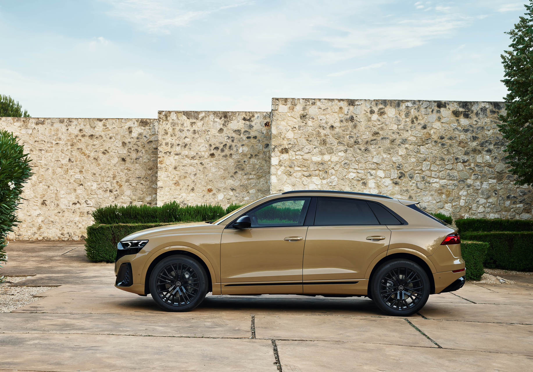 Audi Q8 2023 10