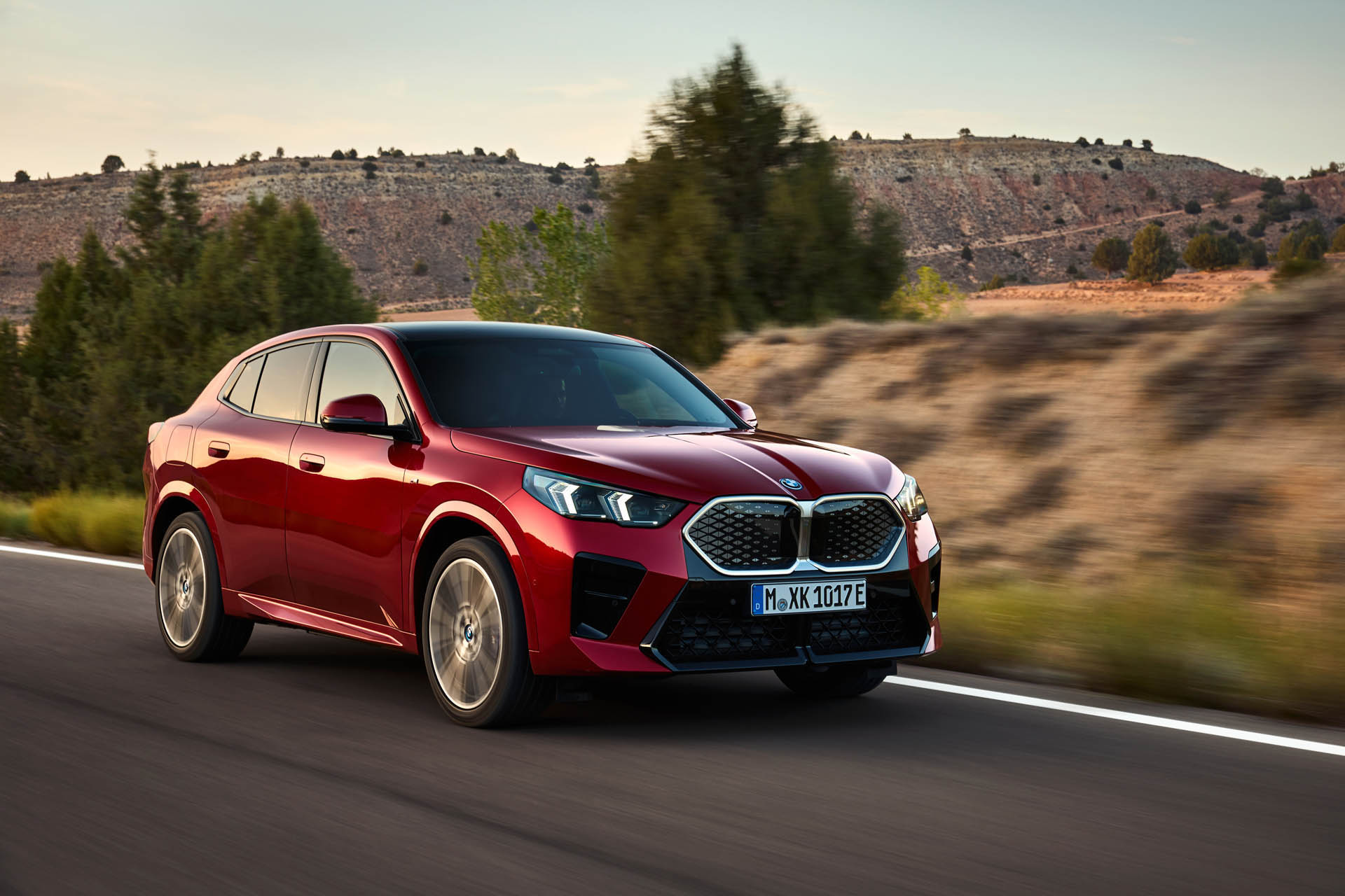 BMW iX2 xDrive30 14
