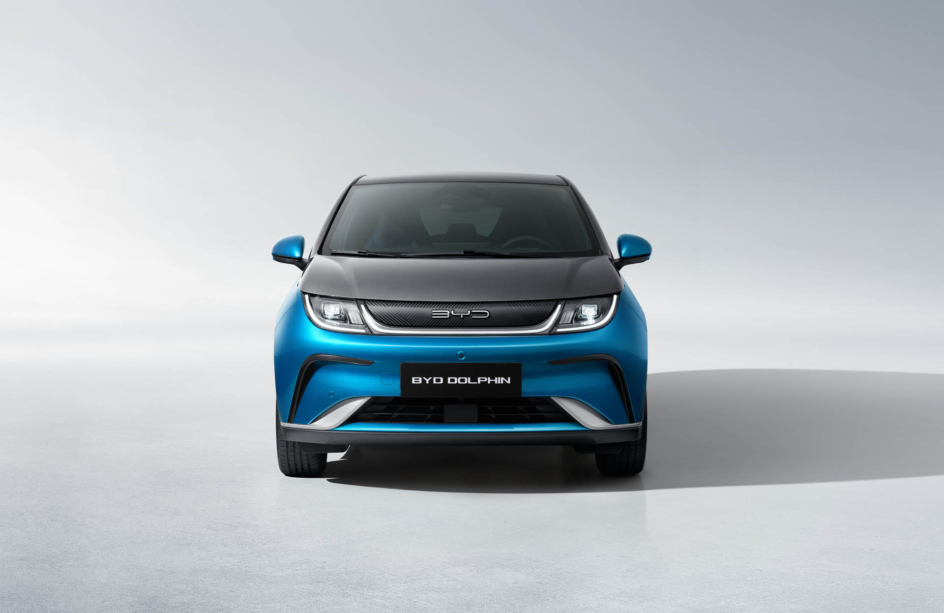 byd dolphin 11