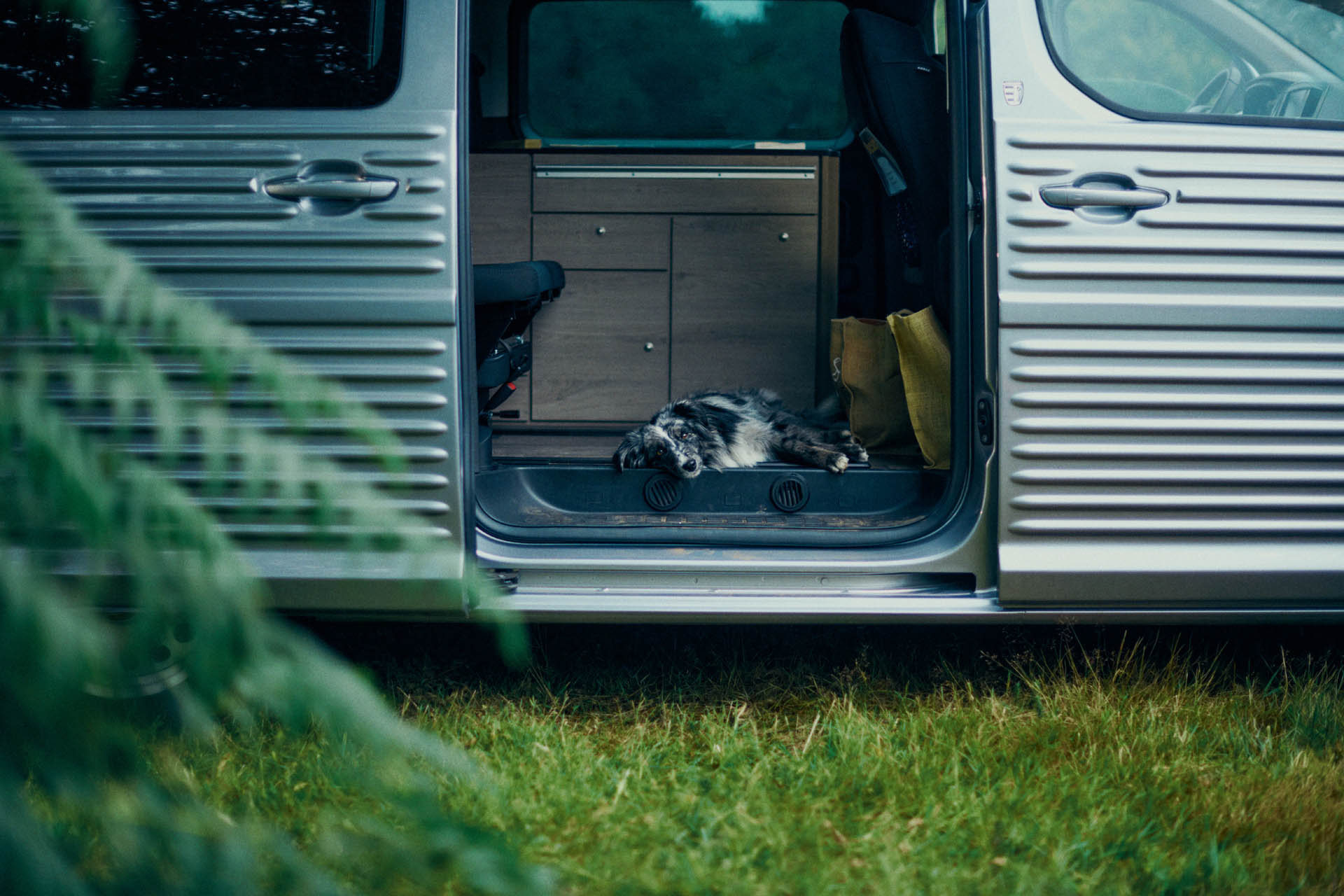 Citroen Type Holidays 12