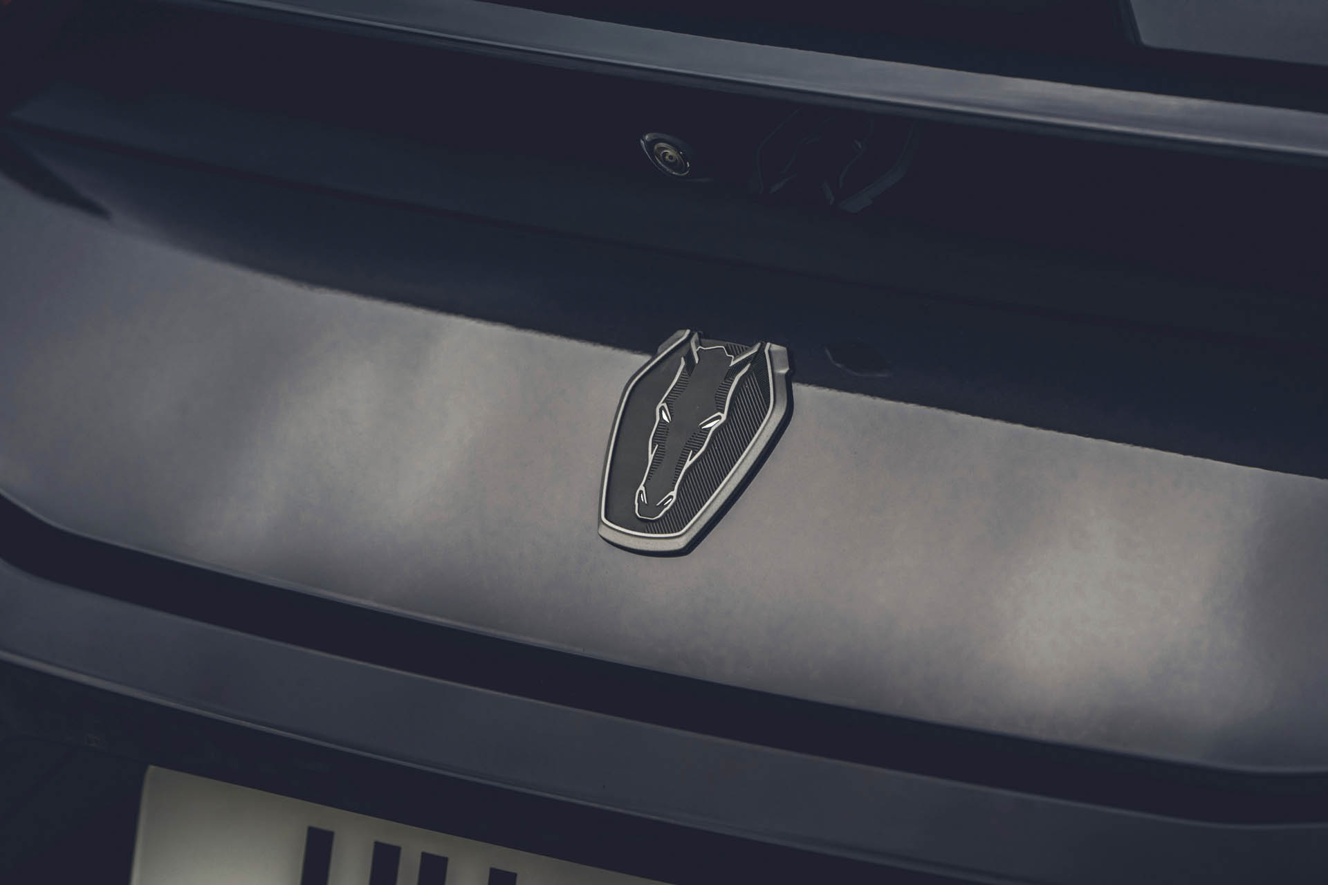 2024 FORD MUSTANG DARK-HORSE 38