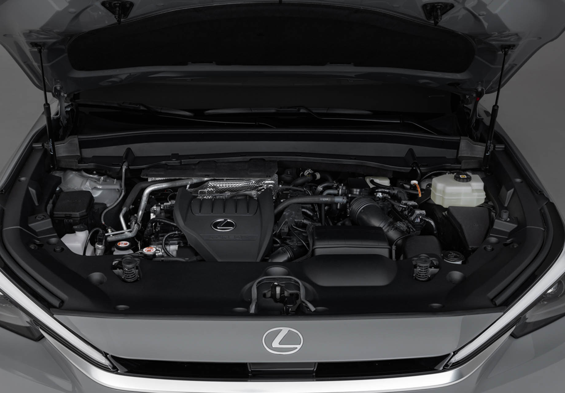 Lexus TX 48