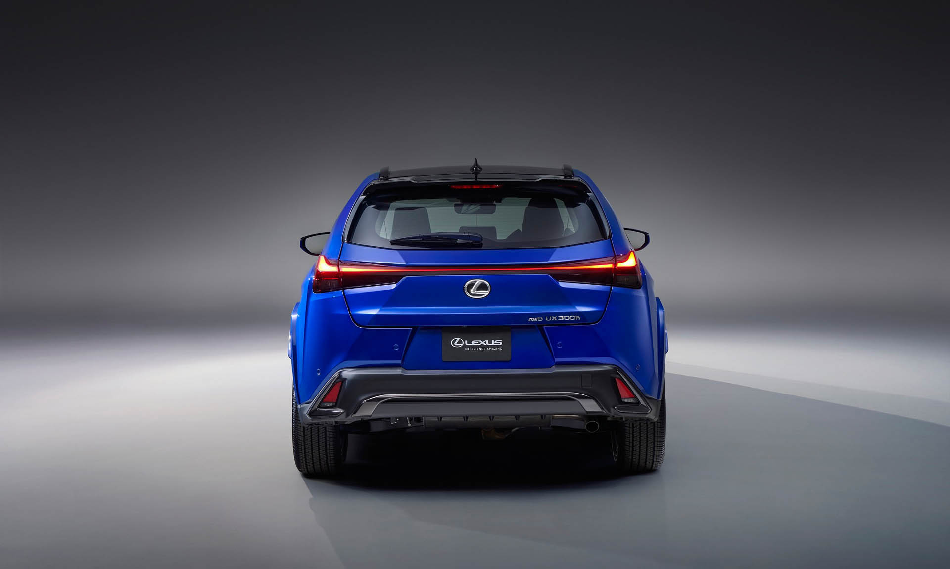 Lexus UXh FSPORT 2025