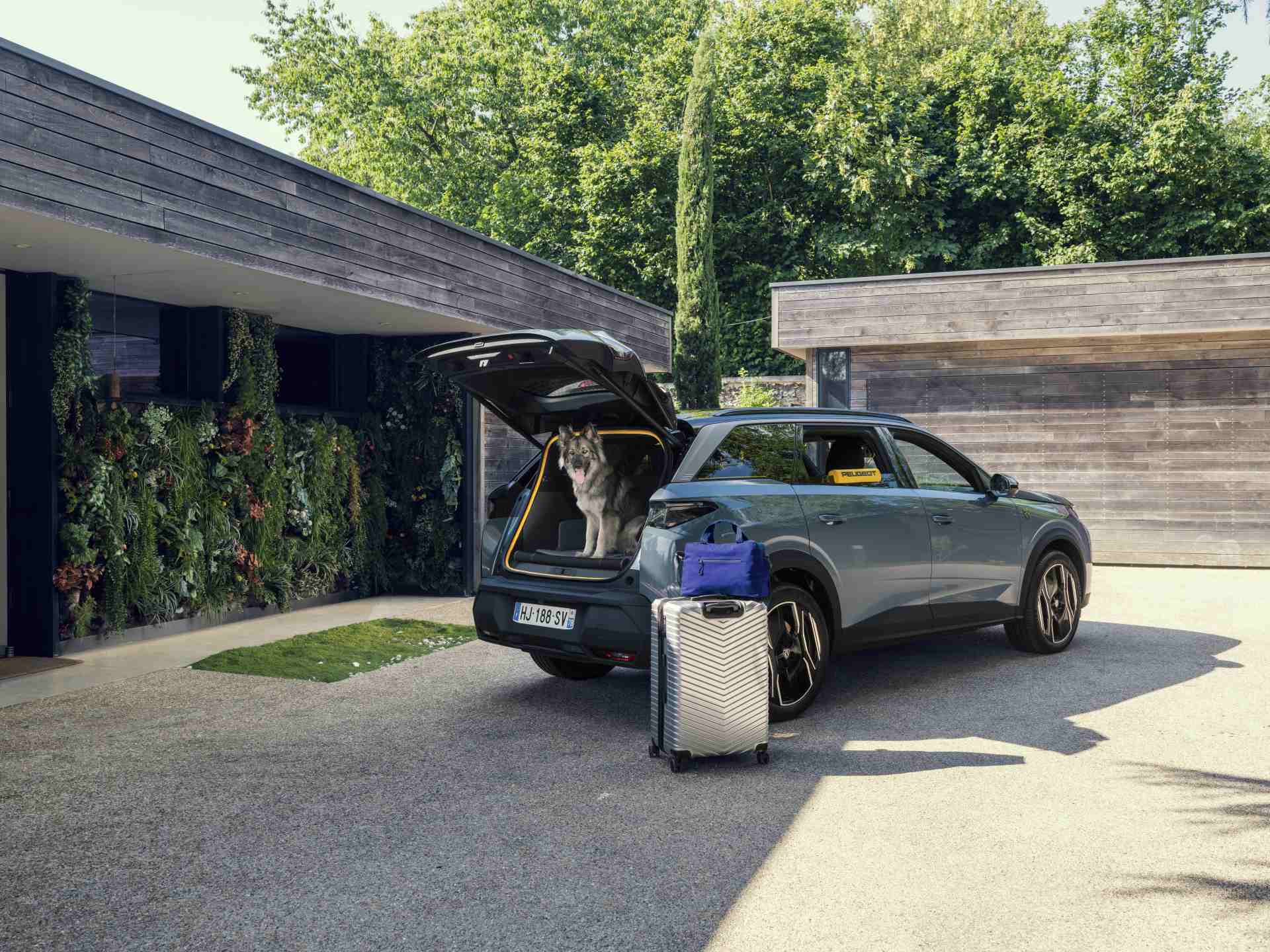 peugeot e 5008 dog edition concept 04