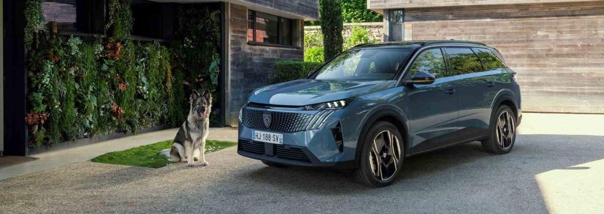 peugeot e 5008 dog edition concept nyito