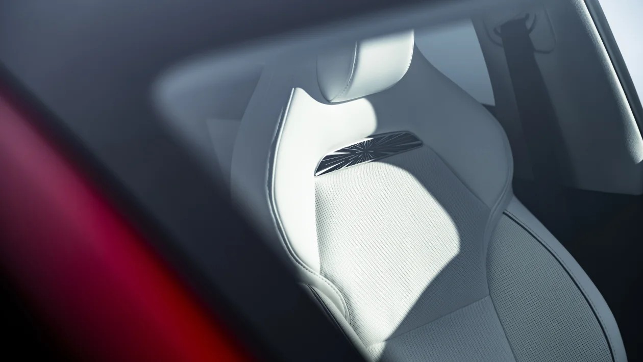 Tesla Model Y Performance 2025 08