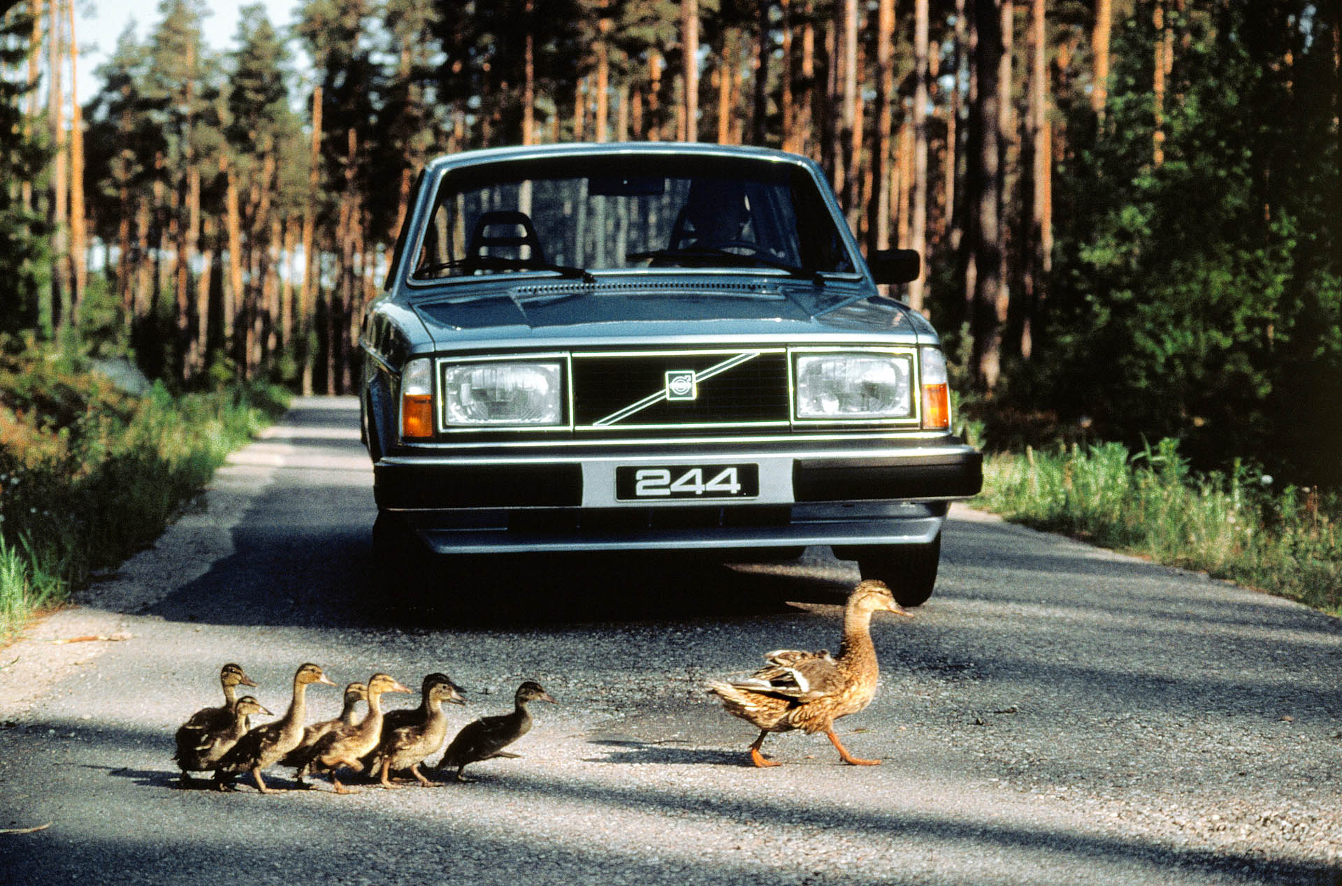 6202 Volvo 244 GL